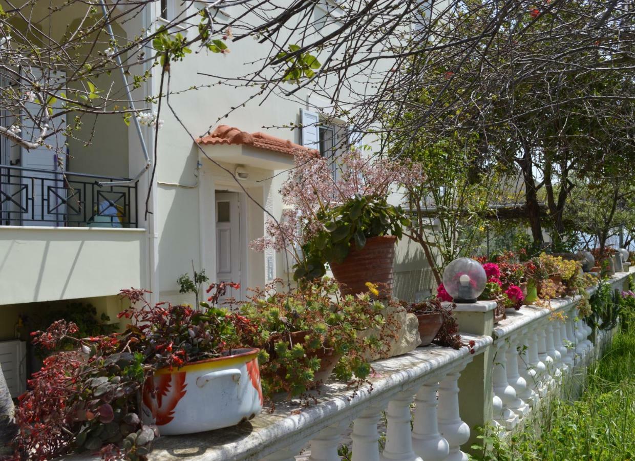 Araucaria Home Ликсури Екстериор снимка